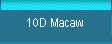 10D Macaw