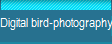 Digital bird-photography
