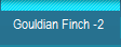 Gouldian Finch -2 