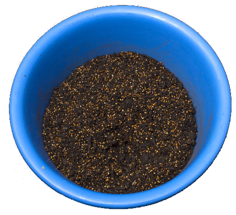 sprouting seeds,sementes germinadas, Kkeimfutter, -3294